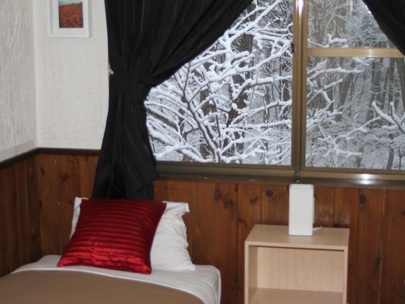 Alpine Lodge Hakuba Exterior foto